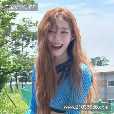 何鹰辉